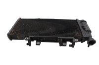 Wasserkühler Radiator Motorkühlung Kühlkörper BMW F 800 GS E8GS 0219 08-12