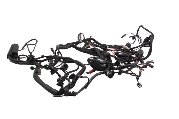 Kabelbaum Hauptleitungssatz Bordnetz Elektrik BMW F 800 GS E8GS 0219 08-12