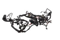 Kabelbaum Hauptleitungssatz Bordnetz Elektrik BMW F 800 GS E8GS 0219 08-12