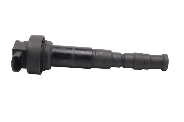 Bobina accensione pipetta cappuccio candela BMW F 800 GS E8GS 0219 08-12