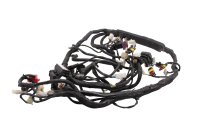 Faisceau électrique principal câblage...