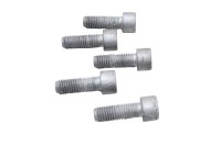 Viti corona bulloni parastrappi mozzo 5 pezzi posteriore Aprilia RSV4 RK 09-12