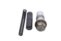Steuerkettenspanner Satz rechts Kolben Feder BMW R 1100 S 259 0422 R2S 98-05