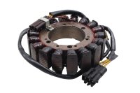 Lichtmaschine Stator Wicklung Generator Lima Spule BMW F 800 GS E8GS 0219 08-12
