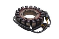 Lichtmaschine Stator Wicklung Generator Lima Spule BMW F 800 GS E8GS 0219 08-12