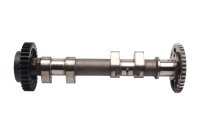 Knastaksel topstykke med tandhjul kædehjul motor BMW F 800 GS E8GS 0219 08-12