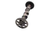 Knastaksel topstykke med tandhjul kædehjul motor BMW F 800 GS E8GS 0219 08-12