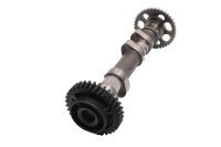 Knastaksel topstykke med tandhjul kædehjul motor BMW F 800 GS E8GS 0219 08-12