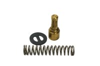 Oljetermostat vaxelement fjäder bricka ventil BMW R 1100 S 259 0422 R2S 98-05