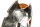 Blinker Blinkleuchte Glas Reflektor hinten links BMW R 1100 S 259 0422 R2S 98-05