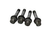 Radschrauben Radbolzen Felge hinten Satz 4 Stück BMW R 1100 S 259 0422 R2S 98-05