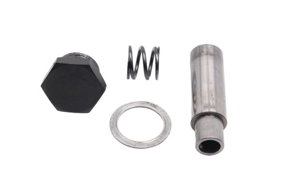 Tendicatena distribuzione pistoncino molla motore BMW F 800 GS E8GS 0219 08-12