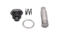 Tendicatena distribuzione pistoncino molla motore BMW F 800 GS E8GS 0219 08-12