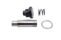 Tendicatena distribuzione pistoncino molla motore BMW F 800 GS E8GS 0219 08-12
