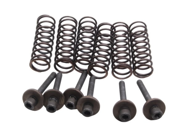 Molle frizione viti rondelle piatto spingidisco kit BMW F 800 GS E8GS 0219 08-12