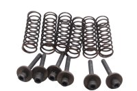 Molle frizione viti rondelle piatto spingidisco kit BMW F...