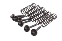 Molle frizione viti rondelle piatto spingidisco kit BMW F...