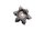 Stella tamburo cambio selettore marce desmodromico BMW F 800 GS E8GS 0219 08-12
