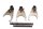 Shift forks set with rods gearbox transmission Suzuki DR 650 SE SP46B 96-00
