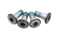 Brake disc bolts rotor screws hex socket 4x rear Suzuki DR 650 SE SP46B 96-00