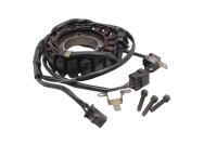 Stator alternator generator pickup coil magneto Suzuki DR 650 SE SP46B 96-00