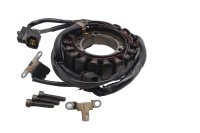 Stator alternator generator pickup coil magneto Suzuki DR 650 SE SP46B 96-00