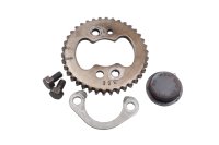 Camshaft sprocket timing gear lock plate bolts Suzuki DR 650 SE SP46B 96-00