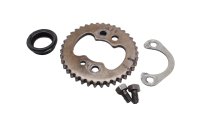 Camshaft sprocket timing gear lock plate bolts Suzuki DR 650 SE SP46B 96-00