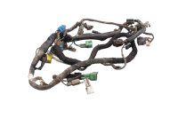 Instalación eléctrica mazo de cables cableado Suzuki DR 650 SE SP46B 96-00