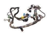Instalación eléctrica mazo de cables cableado Suzuki DR 650 SE SP46B 96-00