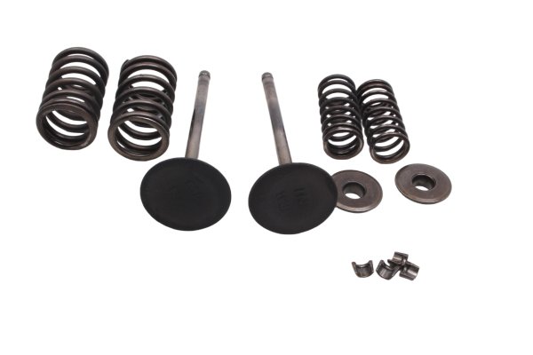 Intake valves set springs retainers collets cotters Suzuki DR 650 SE SP46B 96-00
