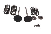 Intake valves set springs retainers collets cotters Suzuki DR 650 SE SP46B 96-00