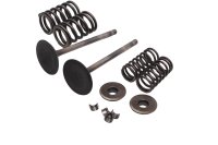 Intake valves set springs retainers collets cotters Suzuki DR 650 SE SP46B 96-00