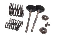 Intake valves set springs retainers collets cotters Suzuki DR 650 SE SP46B 96-00