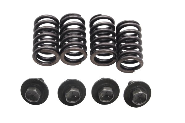 Clutch springs kit 4x with retaining bolts washers Suzuki DR 650 SE SP46B 96-00