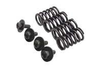 Clutch springs kit 4x with retaining bolts washers Suzuki DR 650 SE SP46B 96-00