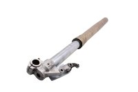 Gabelholm links Standrohr Tauchrohr Dämpfer vorne BMW F 800 GS E8GS 0219 08-12