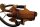 Kraftstoffpumpe Benzinpumpe Tankpumpe Fördereinheit BMW R 1200 RT K26 0368 05-09