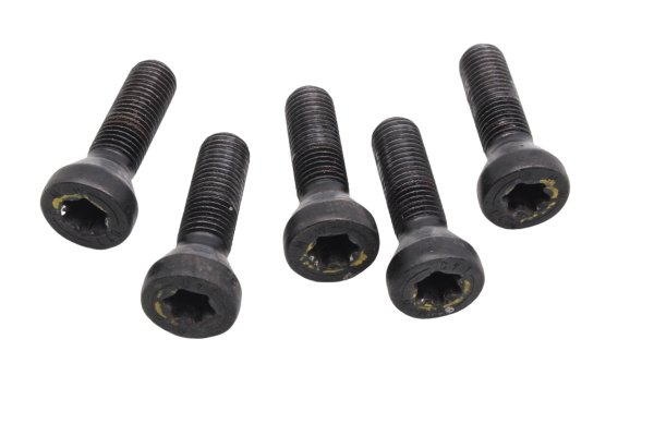 Radschrauben Felgenschrauben Satz hinten BMW R 1200 GS K25 0307 R12 04-07