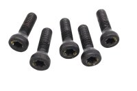 Radschrauben Felgenschrauben Satz hinten BMW R 1200 GS K25 0307 R12 04-07