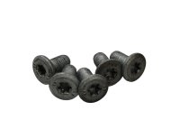 Bremsscheibenschrauben Bolzen Satz 5 Stück hinten BMW R 1200 RT K26 0368 05-09