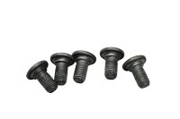 Bremsscheibenschrauben Bolzen Satz 5 Stück hinten BMW R 1200 RT K26 0368 05-09