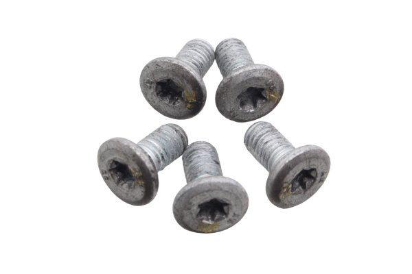 Brake disc bolts rotor screws set 5 pieces rear BMW R 1200 GS K25 0307 R12 04-07