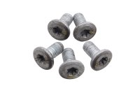 Brake disc bolts rotor screws set 5 pieces rear BMW R 1200 GS K25 0307 R12 04-07