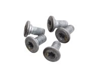 Brake disc bolts rotor screws set 5 pieces rear BMW R 1200 GS K25 0307 R12 04-07