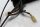 Air cushion control switch trunk right Suzuki GV 1400 G Cavalcade GV1400 85-88