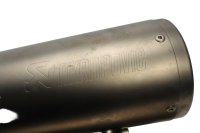 Endschalldämpfer Endtopf Auspuff Akrapovic Doppel links BMW R 1200 R nineT 16-16
