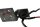 Alarm system siren module switch wiring harness BMW R 1200 S K29 0366 06-08