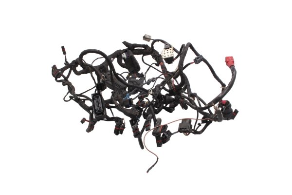 Cablaggio impianto elettrico principale motore BMW R 1200 GS K25 0307 R12 04-07