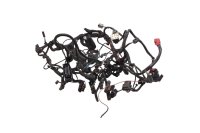 Cablaggio impianto elettrico principale motore BMW R 1200 GS K25 0307 R12 04-07